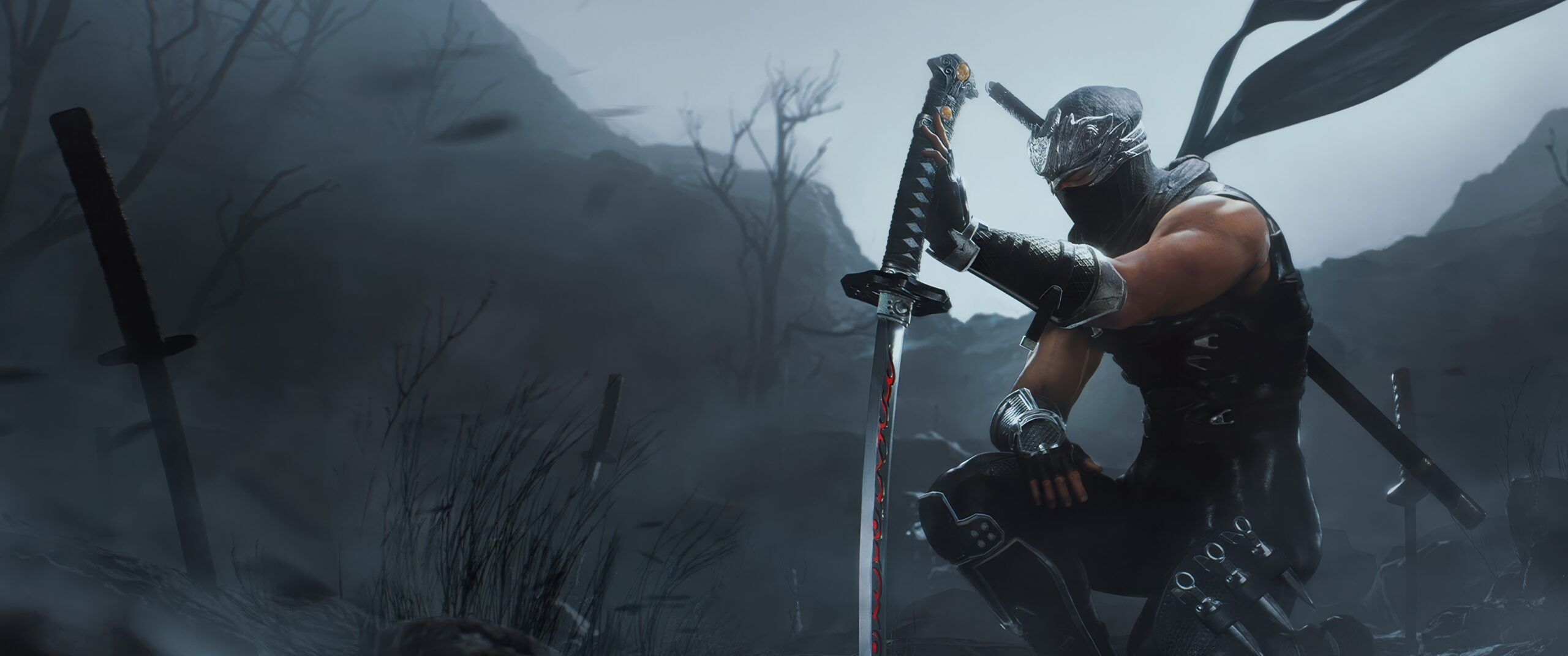 Ninja Gaiden